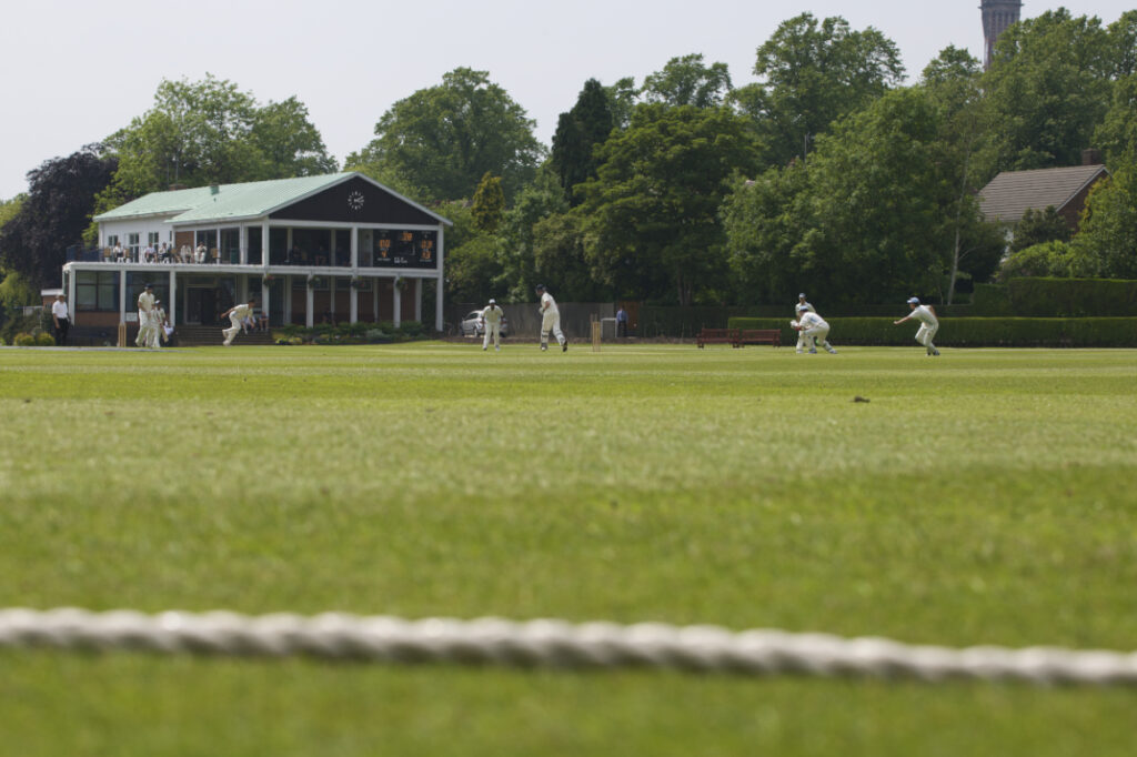 a picture of a cricket game