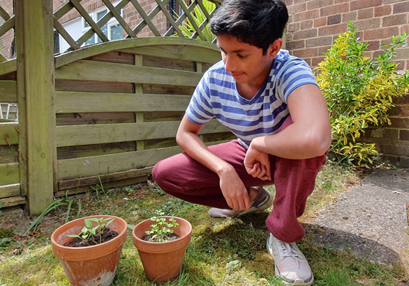 a picture of a student next to two plant pots