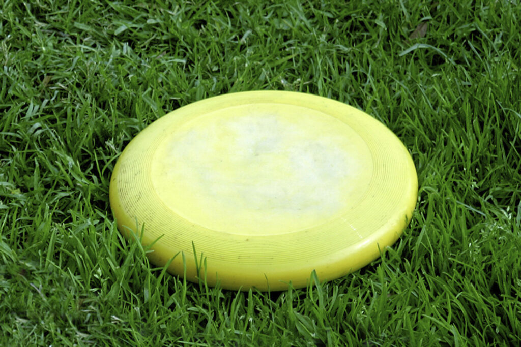 a picture of a frisbee