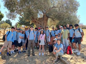 A group of pupils stand in front of a large, ancient olive tree on a sunny day.
